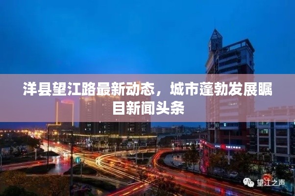 洋县望江路最新动态,城市蓬勃发展瞩目新闻头条