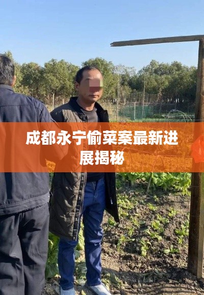 成都永宁偷菜案最新进展揭秘