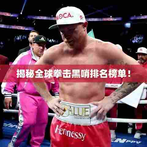 揭秘全球拳击黑哨排名榜单!