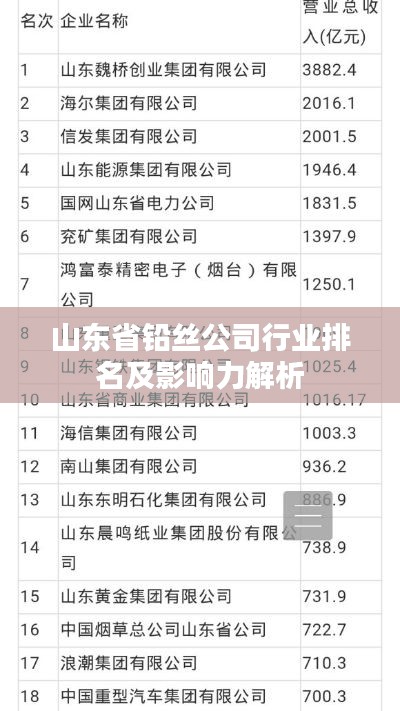 山东省铅丝公司行业排名及影响力解析