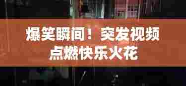 爆笑瞬间！突发视频点燃快乐火花