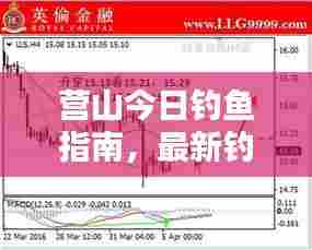 营山今日钓鱼指南，最新钓鱼指数全面解析