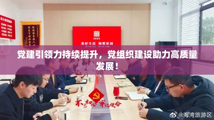 党建引领力持续提升,党组织建设助力高质量发展!