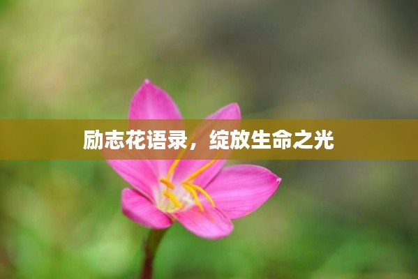 励志花语录,绽放生命之光