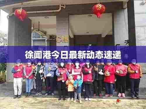 徐闻港今日最新动态速递