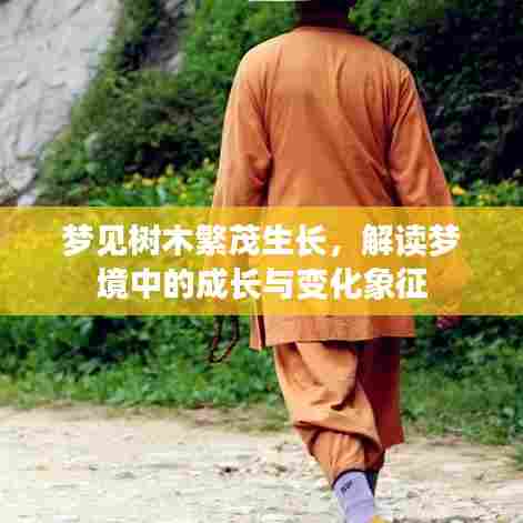 梦见树木繁茂生长,解读梦境中的成长与变化象征