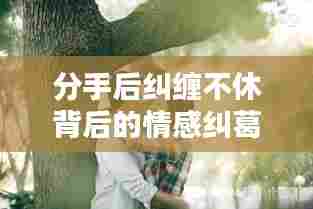 分手后纠缠不休背后的情感纠葛与决断力的考验