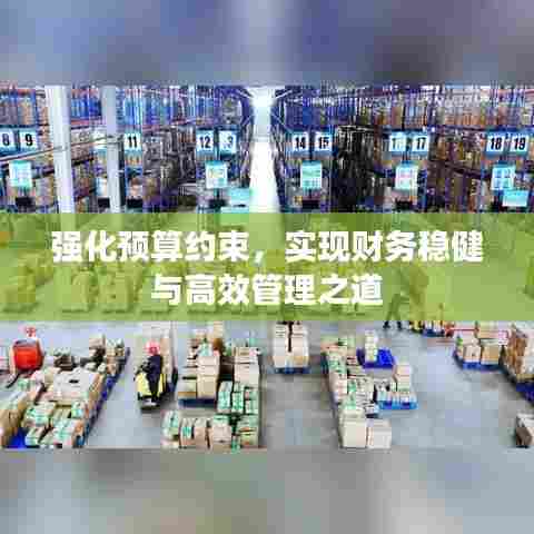 强化预算约束，实现财务稳健与高效管理之道