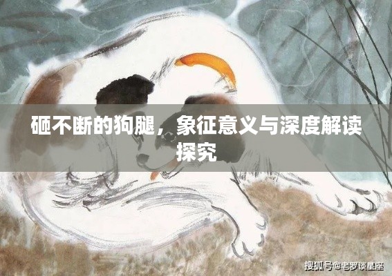 砸不断的狗腿,象征意义与深度解读探究
