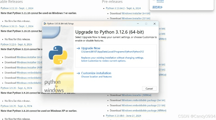 ptyhon官方下载,稳定性设计解析&L版_v3.860