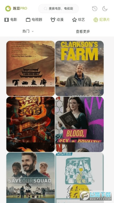 碗豆英下载官方,适用性执行设计_pro_v8.944