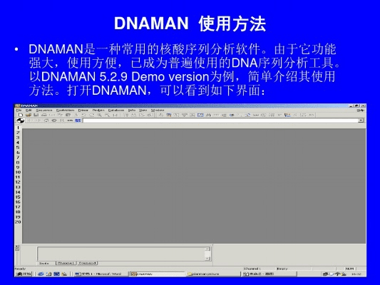 dnaman官方下载,迅速解答问题&XP1_v2.327