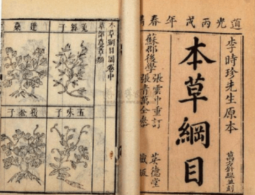 电子版本草纲目，迅捷解答方案实施_苹果款1_v7.544——行业标杆的卓越之选