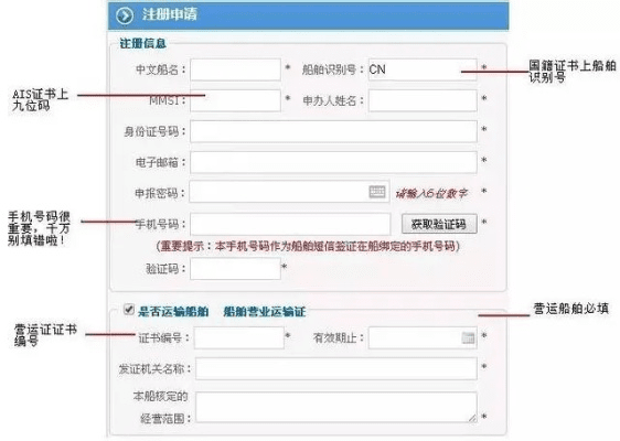 船舶电子签证最新版本,综合解答解释定义-Pixel_v2.765